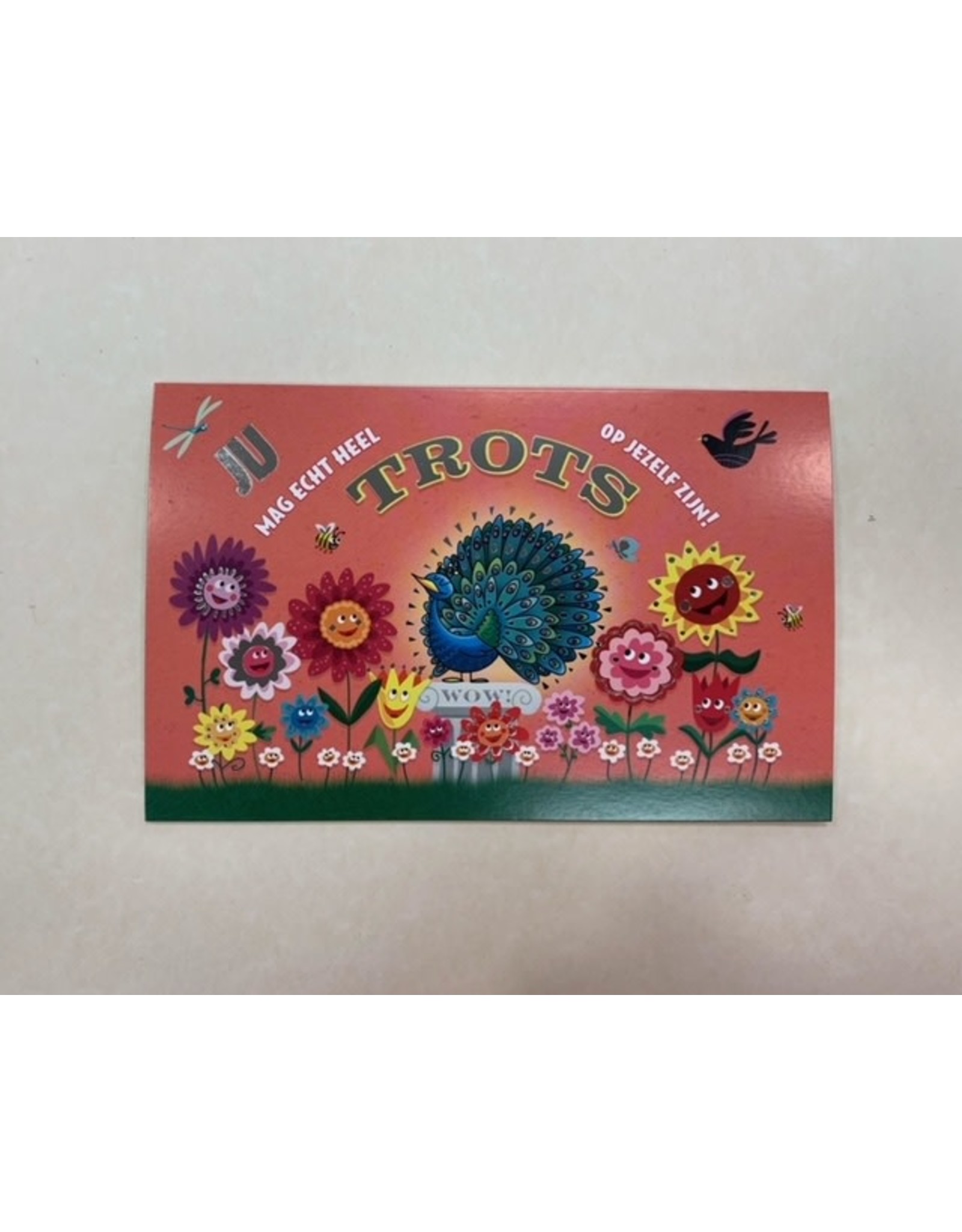 Hallmark Hallmark kaarten geslaagd ‘ je mag echt heel trost op jezelf zijn’