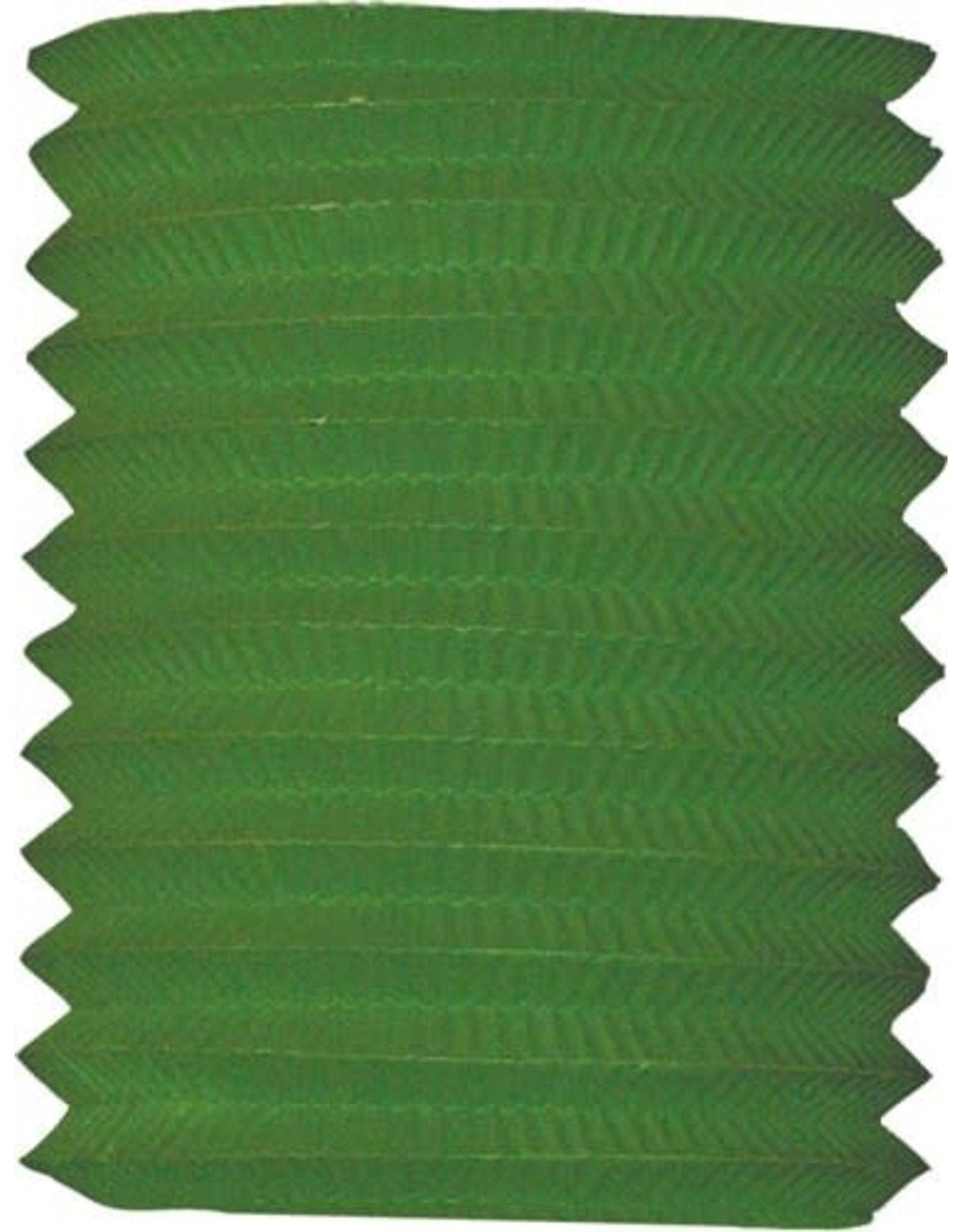 Haza Treklampion Groen 20cm