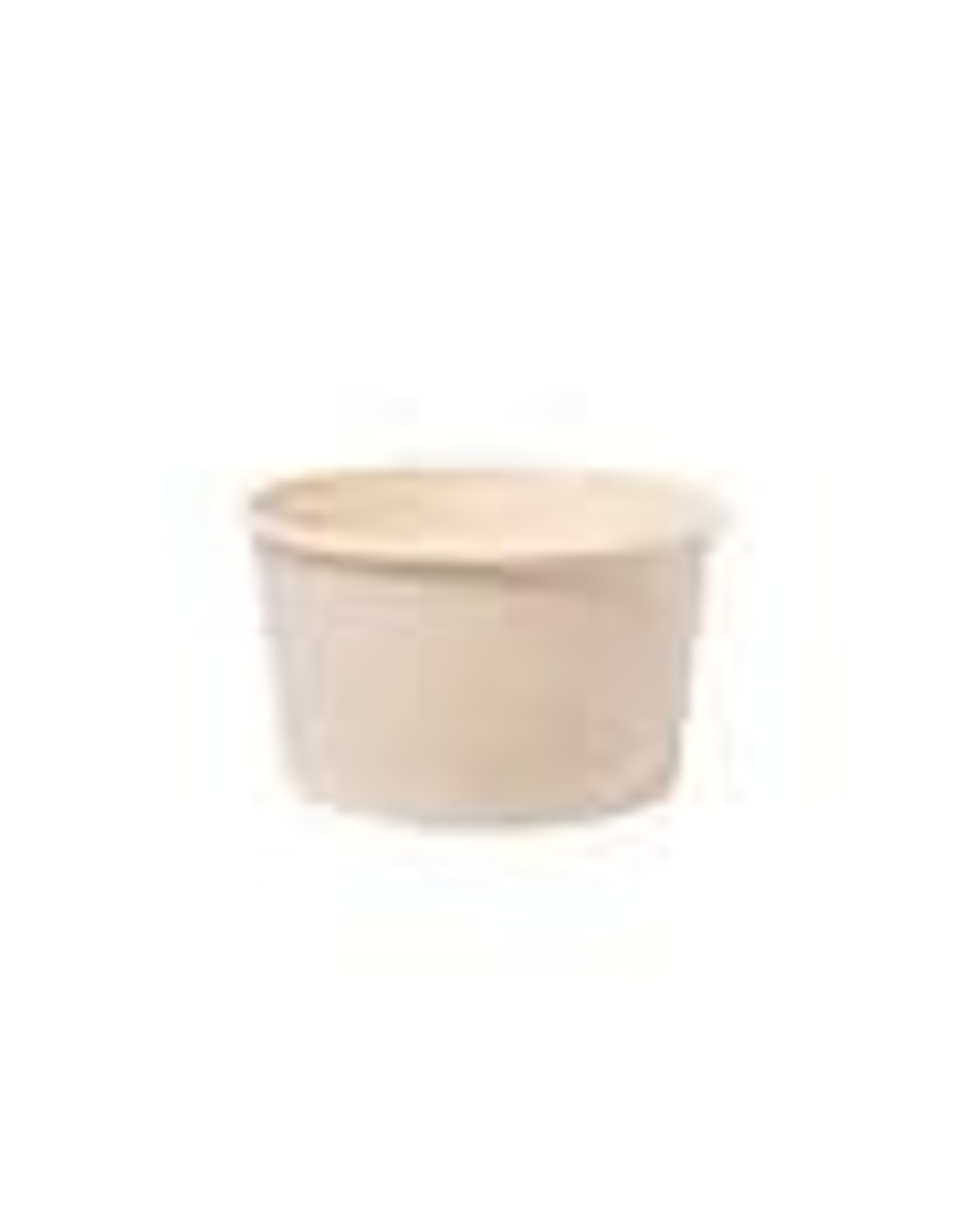 Duni Duni BioPak Bagasse schalen 27cl 10 stuks