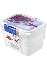 ROTHO Rotho set diepvriesdozen 4 x 0,5l domino etiket decor