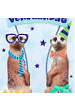 Een coole verjaardag