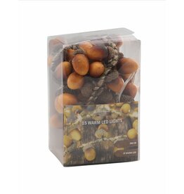 Batterijverlichting Eikels 15LED