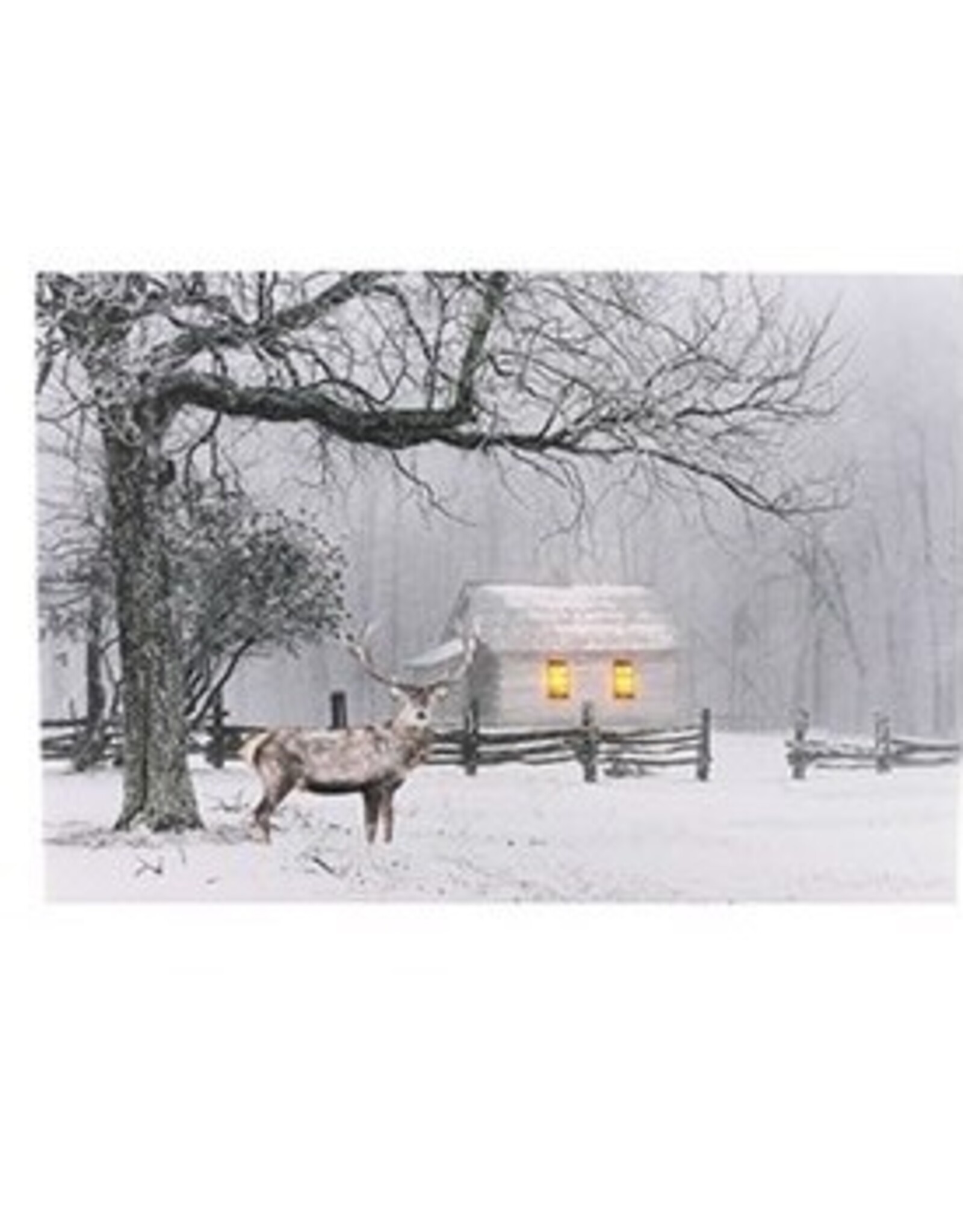 MERKLOOS Canvas LED winter 30x40cm met timer (1 stuk) assorti