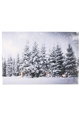 MERKLOOS Canvas LED winter 30x40cm met timer (1 stuk) assorti