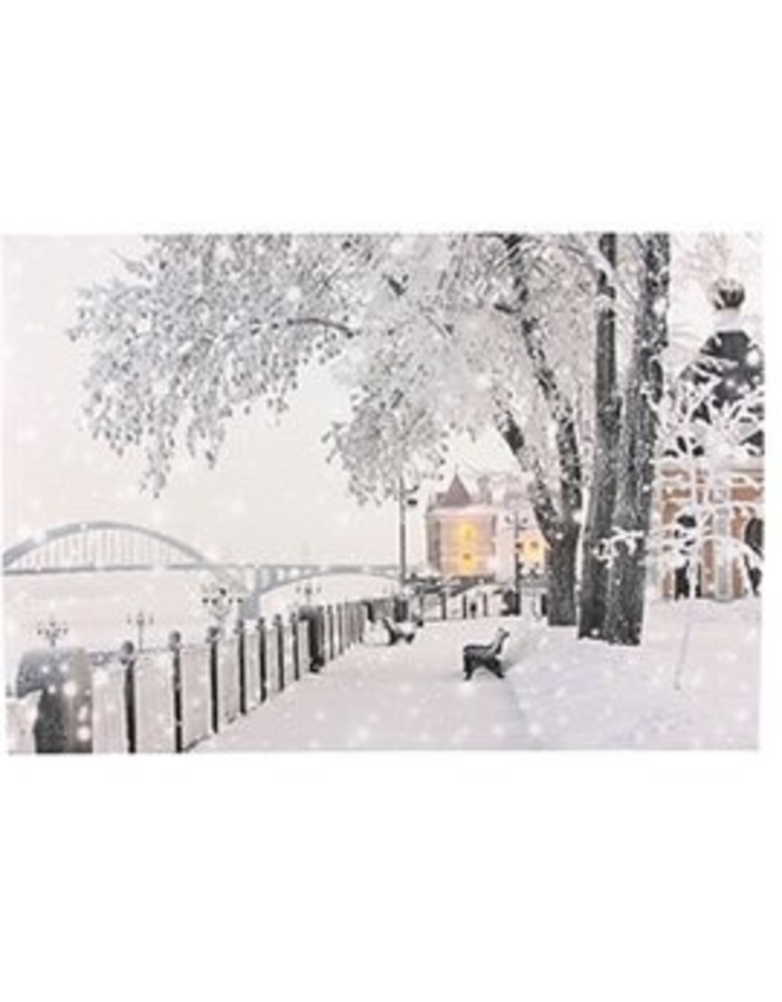 MERKLOOS Canvas LED winter 30x40cm met timer (1 stuk) assorti