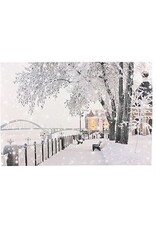 MERKLOOS Canvas LED winter 30x40cm met timer (1 stuk) assorti