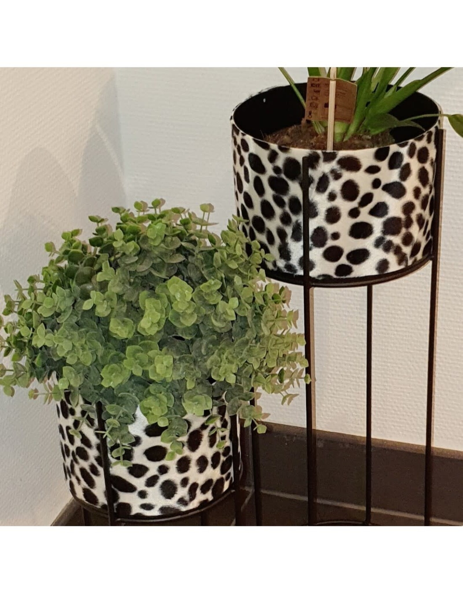 House of Jungle House of jungle plantenbak dierenprint Dalmatiër 19x50CM