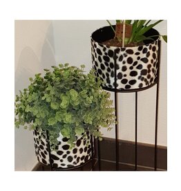 House of Jungle House of jungle plantenbak dierenprint Dalmatiër 19x50CM