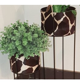 House of Jungle House of jungle plantenbak dierenprint Giraffe 19x50CM