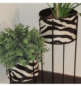 House of Jungle House of jungle plantenbak dierenprint 19x50CM Zebra