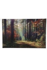 HIT Schilderij Herfst canvas met 1 led en 30 mini led lampjes op timer 40x60cm 2xAA(excl) in 3 herst dessins