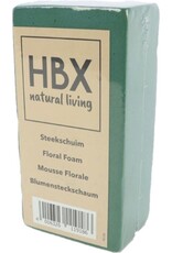 HBX HBX Natural Living steekschuim/oase - groen - L20 x B10 x H7,5 cm - foam - rechthoekig