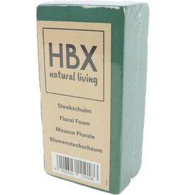 HBX HBX Natural Living steekschuim/oase - groen - L20 x B10 x H7,5 cm - foam - rechthoekig