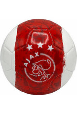 Ajax voetbal