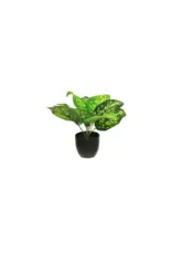 Zijde Dieffenbachia sunshine groen 28cm