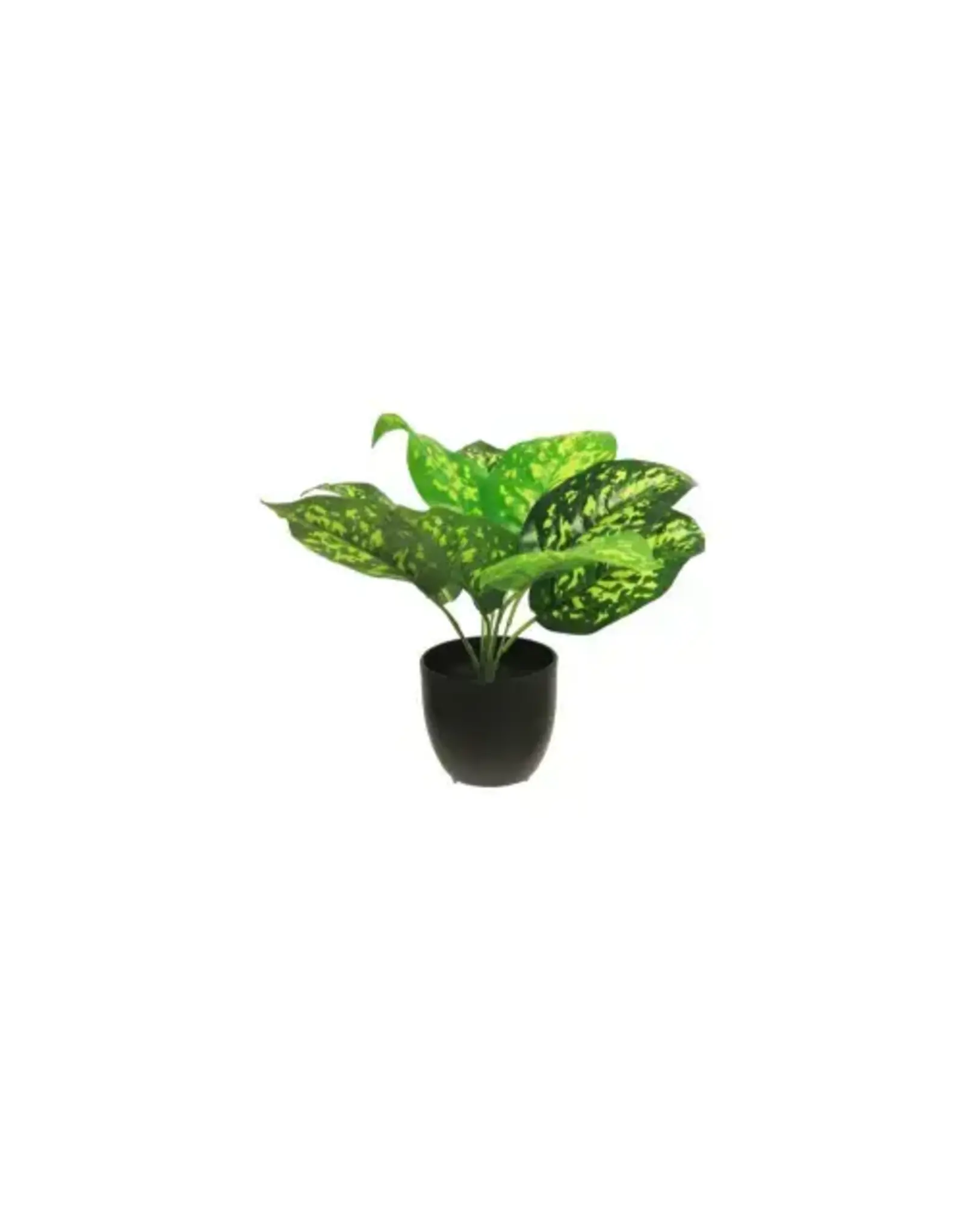 Zijde Dieffenbachia sunshine groen 28cm