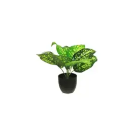 Zijde Dieffenbachia sunshine groen 28cm