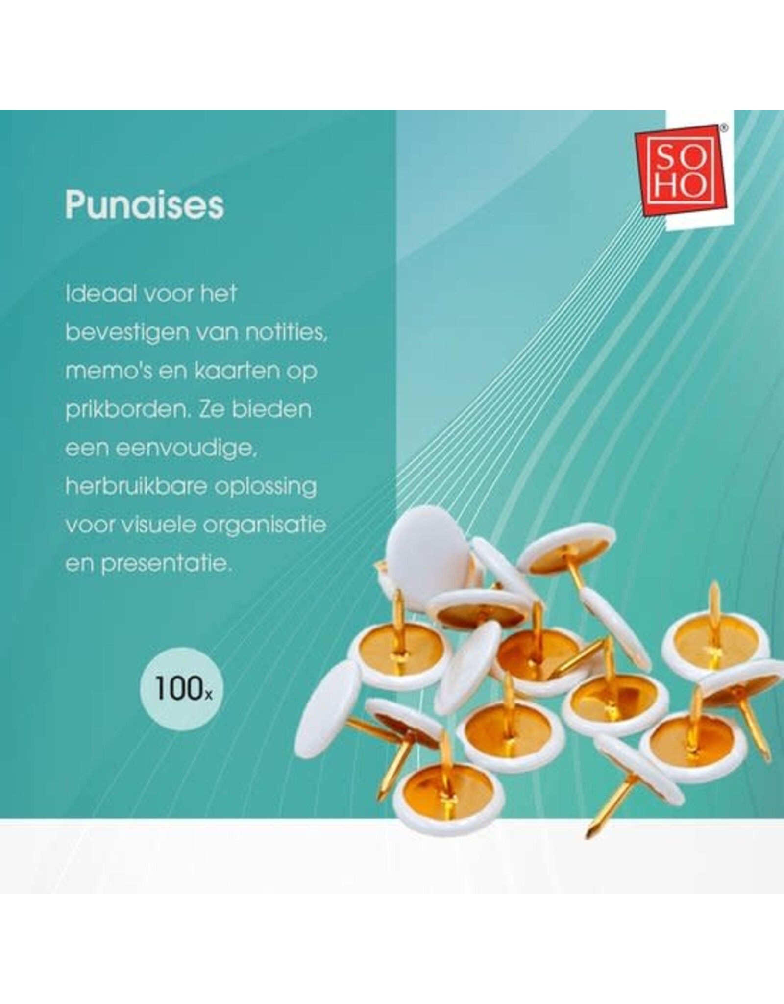SOHO SOHO Punaises | 100 stuks | Wit