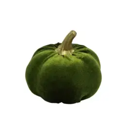 COUNTRYFIELD Countryfield Pompoen Pumpa S | 8x8x8cm | groen