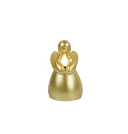 COUNTRYFIELD Countryfield Led Engelkaars S Goud