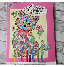 Kleuren op nummer kat | incl 8 kleurpotloden