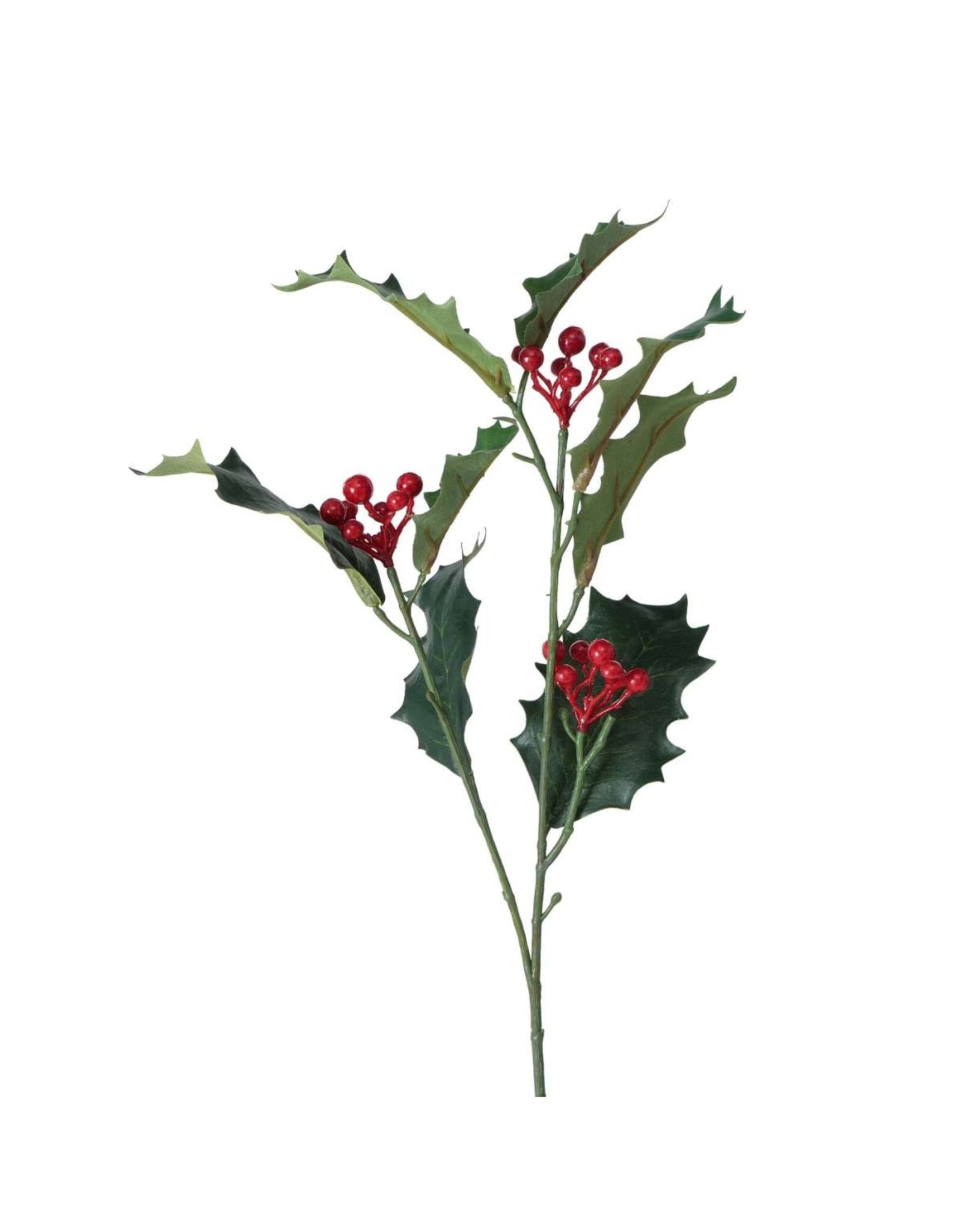 Boltze Home Boltze Home Decoratietak Hulst met rode besjes H50cm