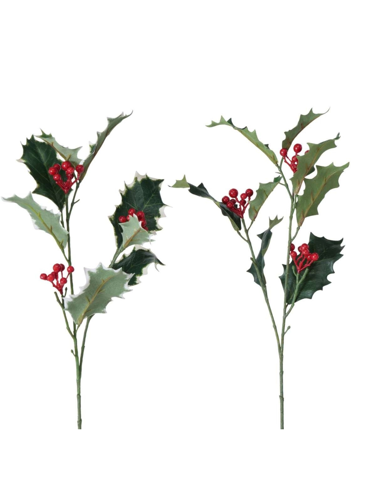Boltze Home Boltze Home Decoratietak Hulst met rode besjes H50cm
