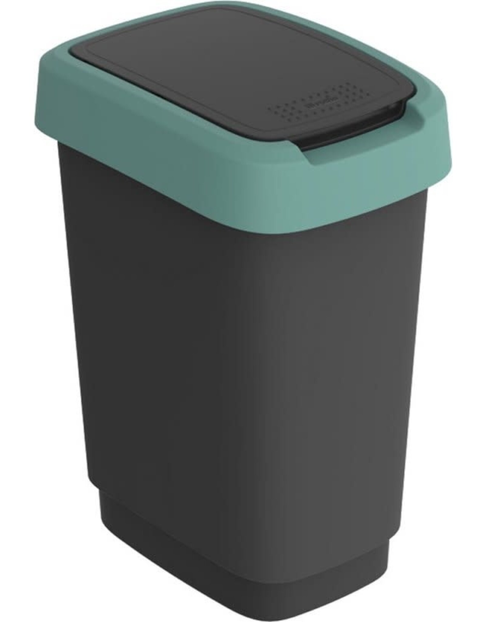 ROTHO Rotho Twist Swing - Afvalbak 10L met klapdeksel - Recycling afvalverzamelaar - BPA-vrij - Zwart/Donkergroen