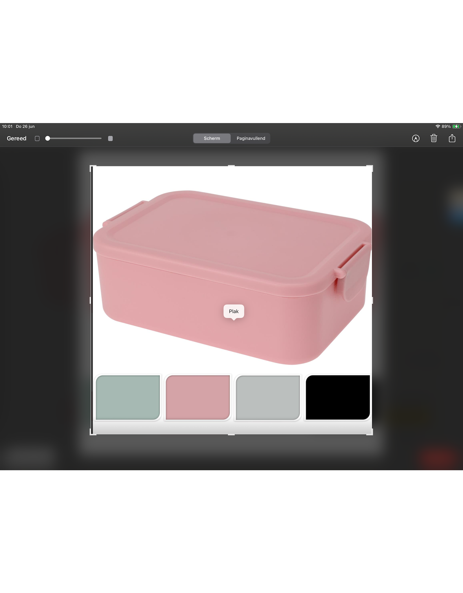 Lunchbox kunststof met clips 20x14x7cm