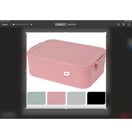 Lunchbox kunststof met clips 20x14x7cm