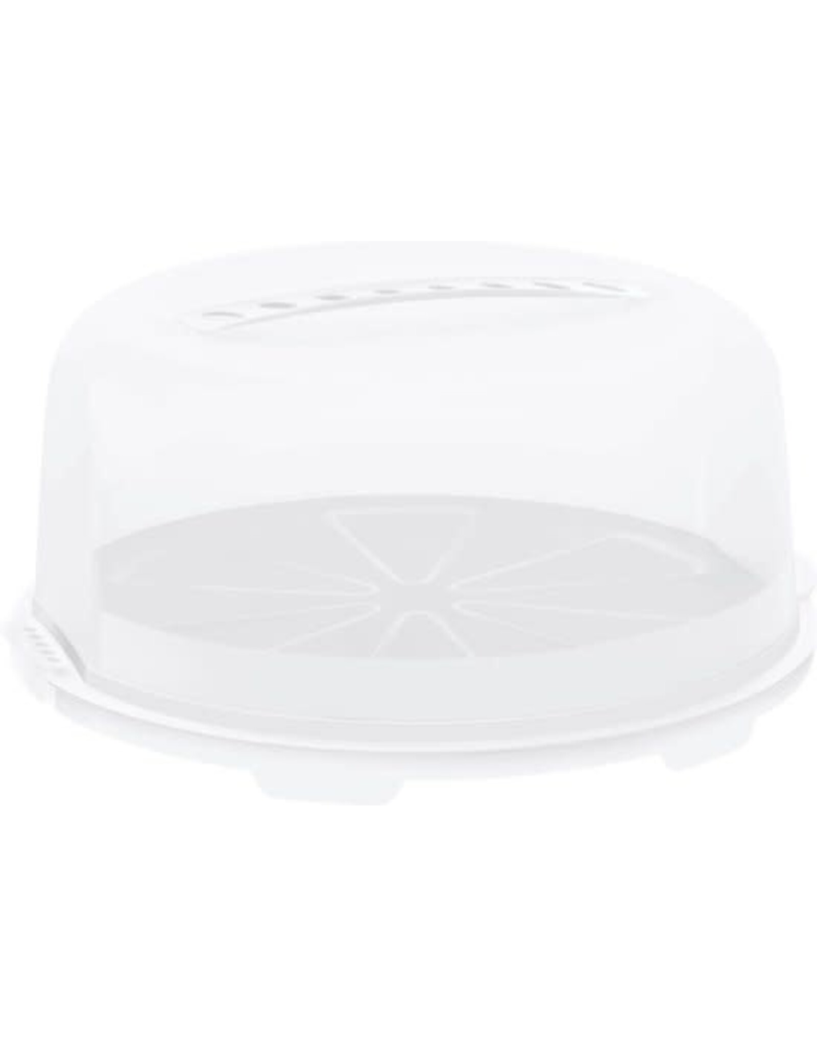 ROTHO Rotho Cake Bell FRESH hoog wit