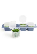 ROTHO Rotho - Mini Diepvriesdoos - Kleine Diepvries Doos - Voorraad bakje - Amuse bakje - Voor babyvoeding - Set van 4