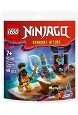 Lego Ninjago LEGO Arins duel met de draakman - 30700