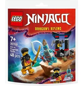 Lego Ninjago LEGO Arins duel met de draakman - 30700