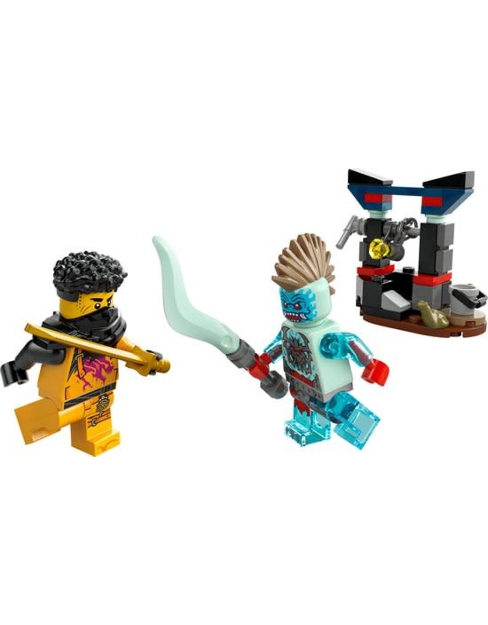 Lego Ninjago LEGO Arins duel met de draakman - 30700