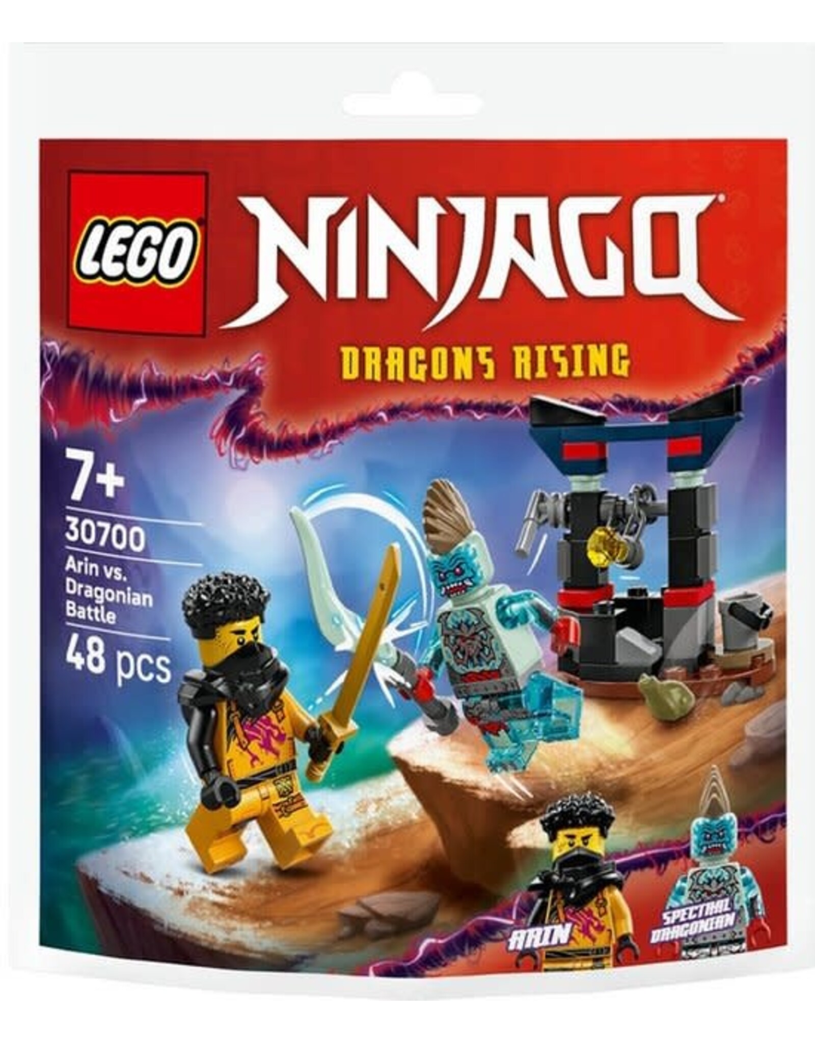 Lego Ninjago LEGO Arins duel met de draakman - 30700