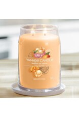 Yankee Candle Yankee Candle | Mango Ice Cream Large Jar