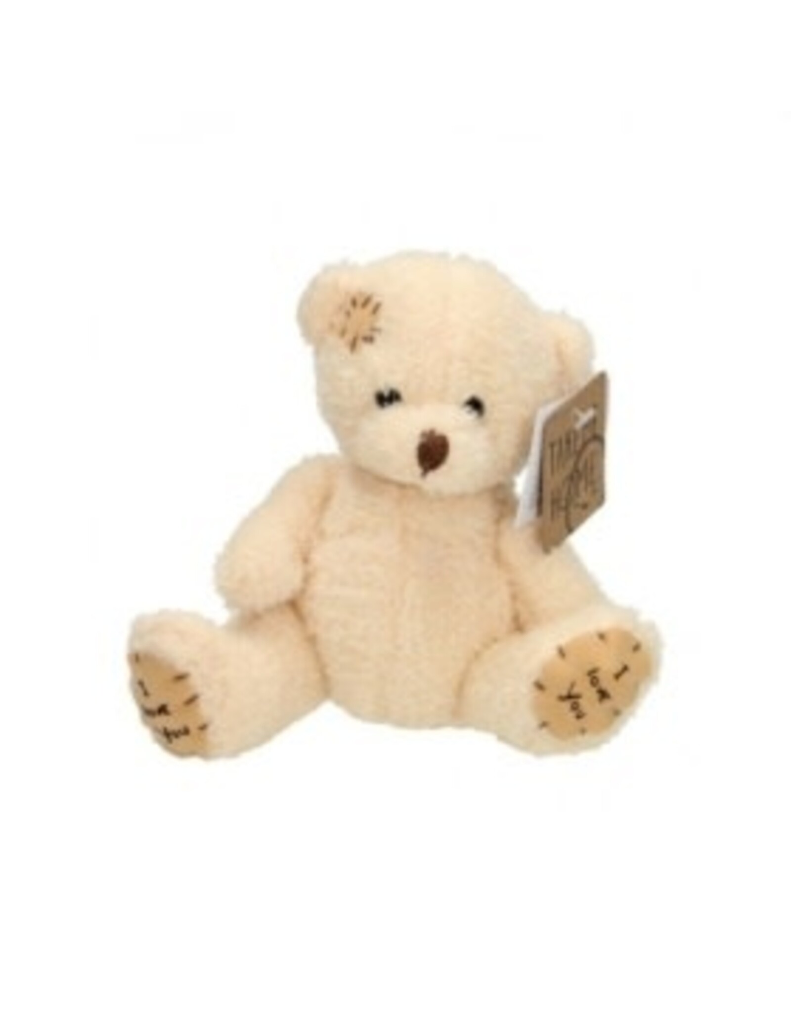 Alpha Toys Take Me Home knuffelbeer - 18 cm