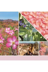 Yankee Candle Yankee Candle | Desert Blooms Large Jar