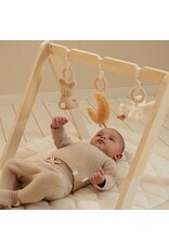 Little Dutch Naturals Newborn Babygym