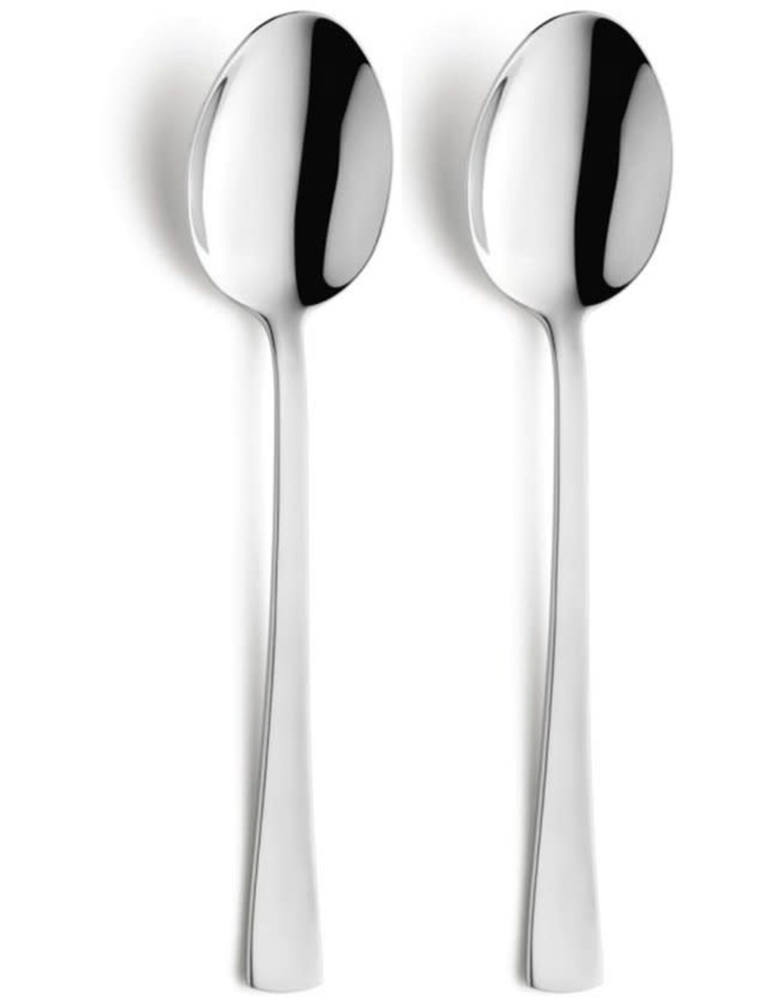 AMEFA Amefa Neptune tafellepels 2 stuks