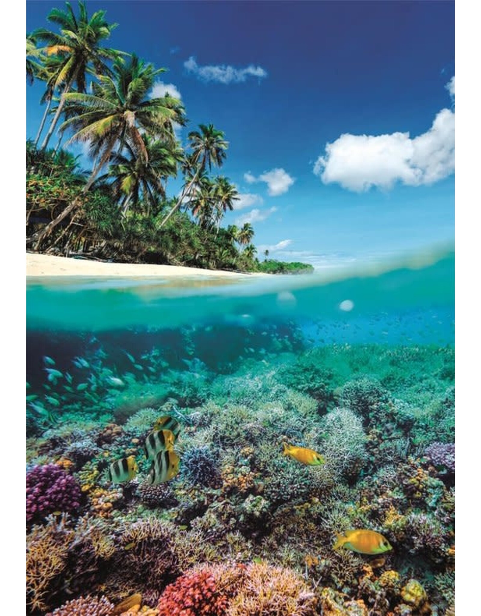 CLEMENTONI Clementoni - Puzzel - 1000 Stukjes - Zomerparadijs - Puzzel Voor Volwassenen - High Quality Collection