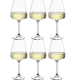 LEONARDO Leonardo Paladino Witte Wijnglazen 0,54 L - 6 st.