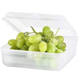 ROTHO Rotho lunchbox FUN 2,35 l (20 x 20 x 8 cm) transparant 2350 ml