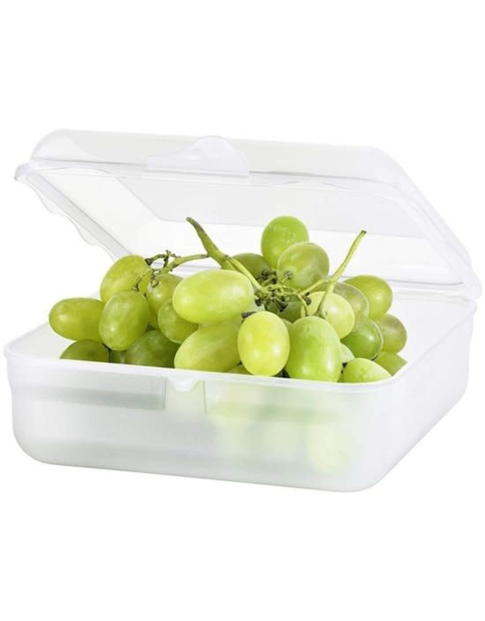 ROTHO Rotho lunchbox FUN 2,35 l (20 x 20 x 8 cm) transparant 2350 ml