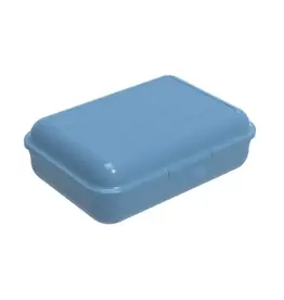 ROTHO Rotho Fun Lunchbox 1.25L Horizon Blauw