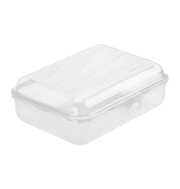 ROTHO Rotho Fun lunchbox 1.25L in transparant