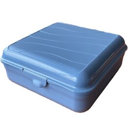 ROTHO Rotho Fun Lunchbox Vierkant 2.35L Horizon Blauw