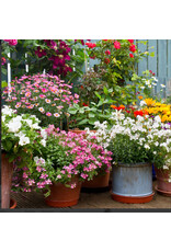 anna`s collection Buitencanvas bloemen in pot 58x58cm