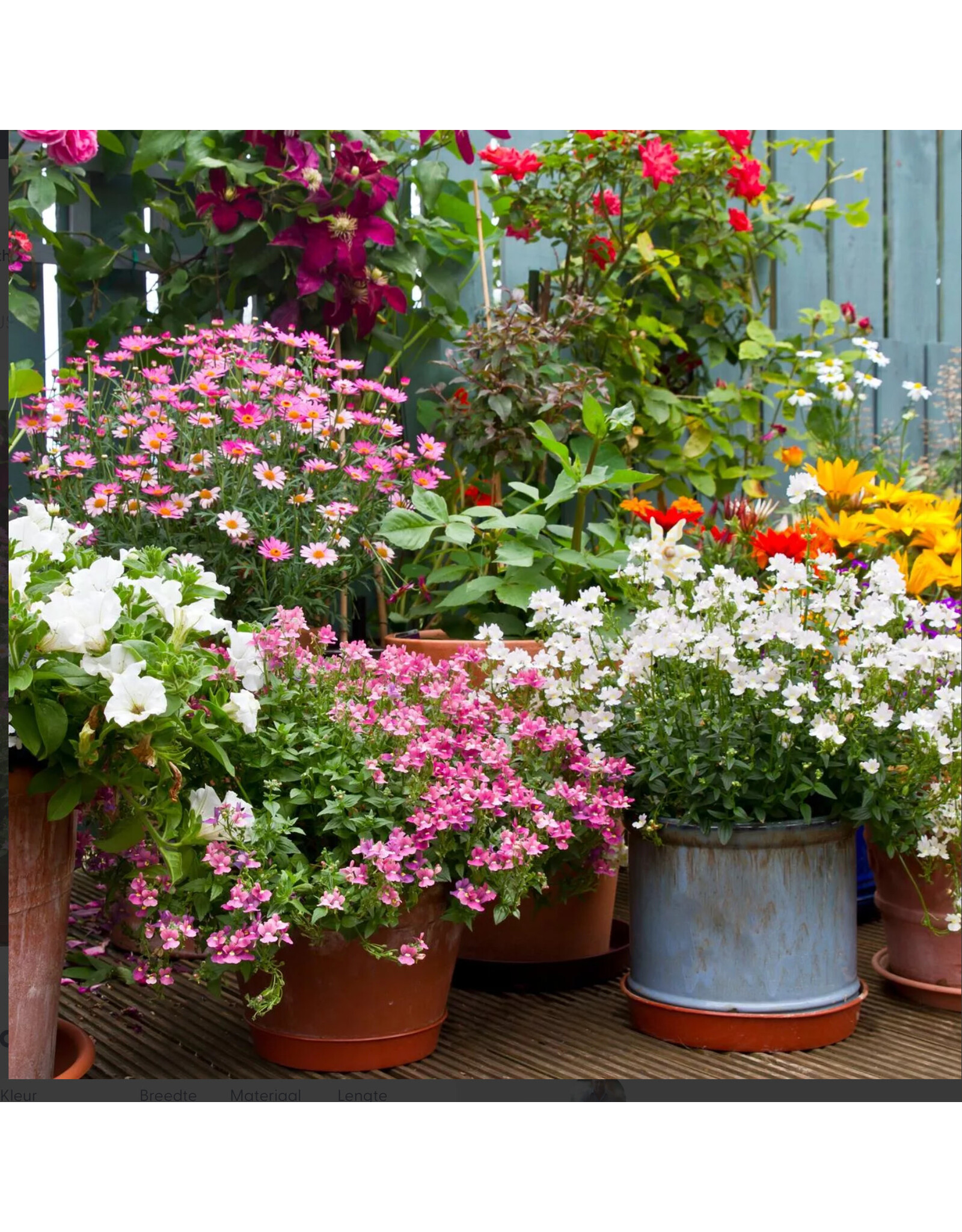 anna`s collection Buitencanvas bloemen in pot 58x58cm